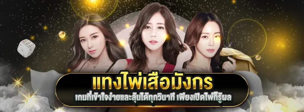 แทงไพ่เสือมังกร