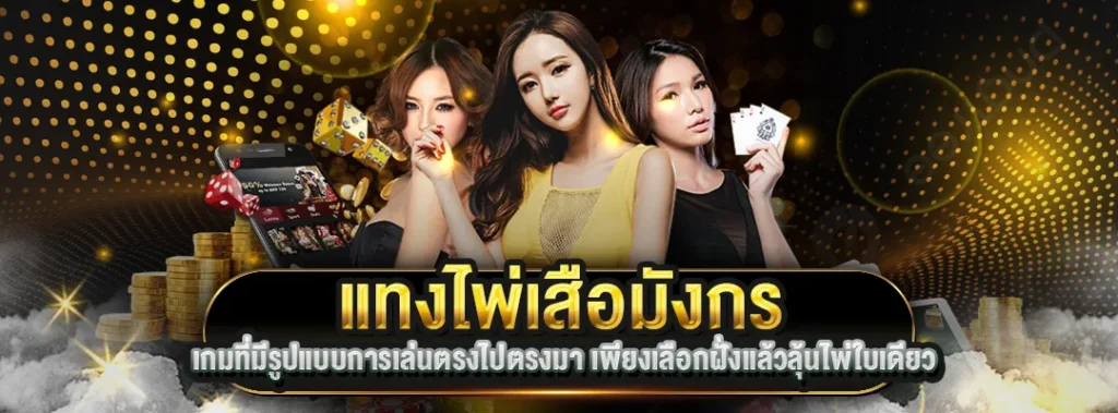 แทงไพ่เสือมังกร