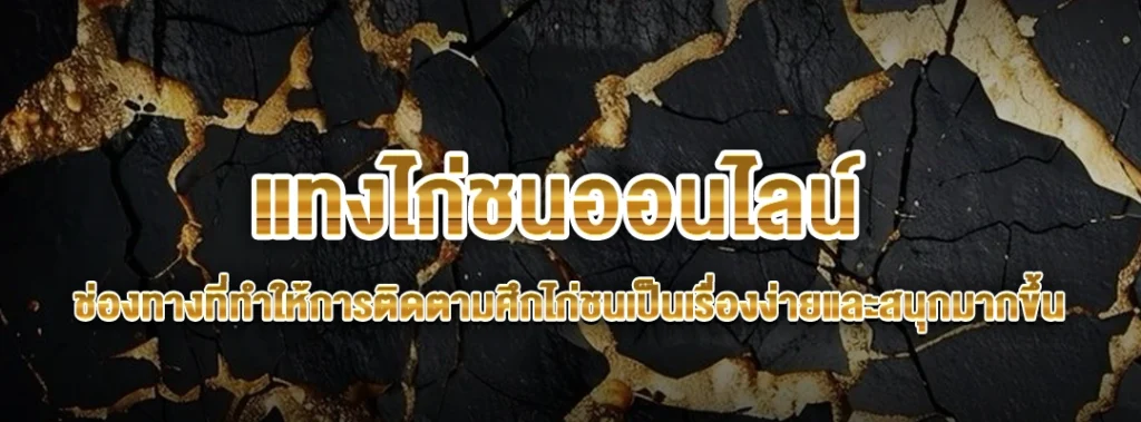 แทงไก่ชนออนไลน์