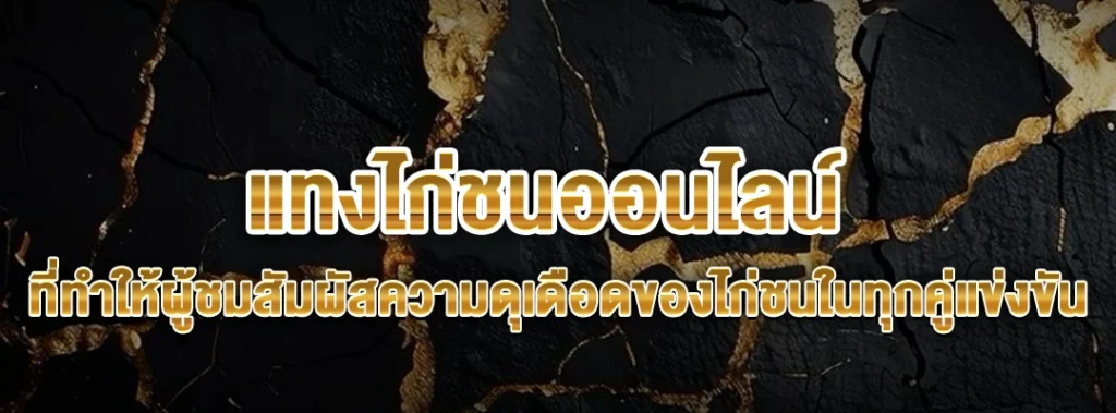 แทงไก่ชนออนไลน์